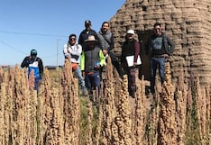 En Bolivia piden cierre de frontera con Perú para evitar contrabando de quinua