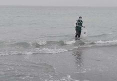 ANA realizó monitoreo de calidad del agua en playas afectadas por derrame de petróleo