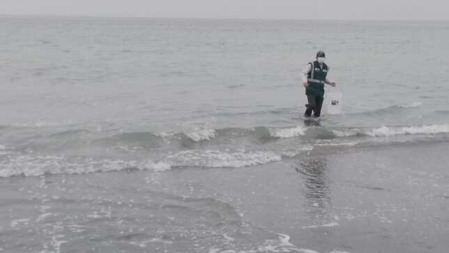 ANA realiza monitoreo de calidad del agua en playas afectadas por derrame de hidrocarburos. Foto: Gobierno