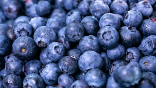 El arándano como fruta clave de Ecopacking: Los planes de la firma del Grupo Dyer