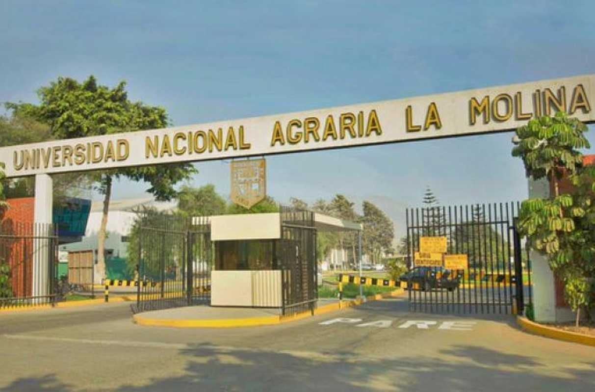 Para el proceso 2026-I, la UNALM ofrece 440 vacantes distribuidas en 12 carreras profesionales. (Foto: Agraria.pe)