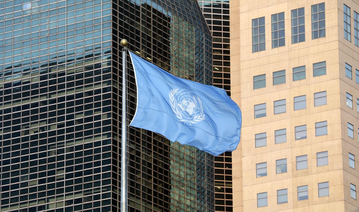MEF lidera sesión de la ONU sobre normas contables (Foto: AFP)