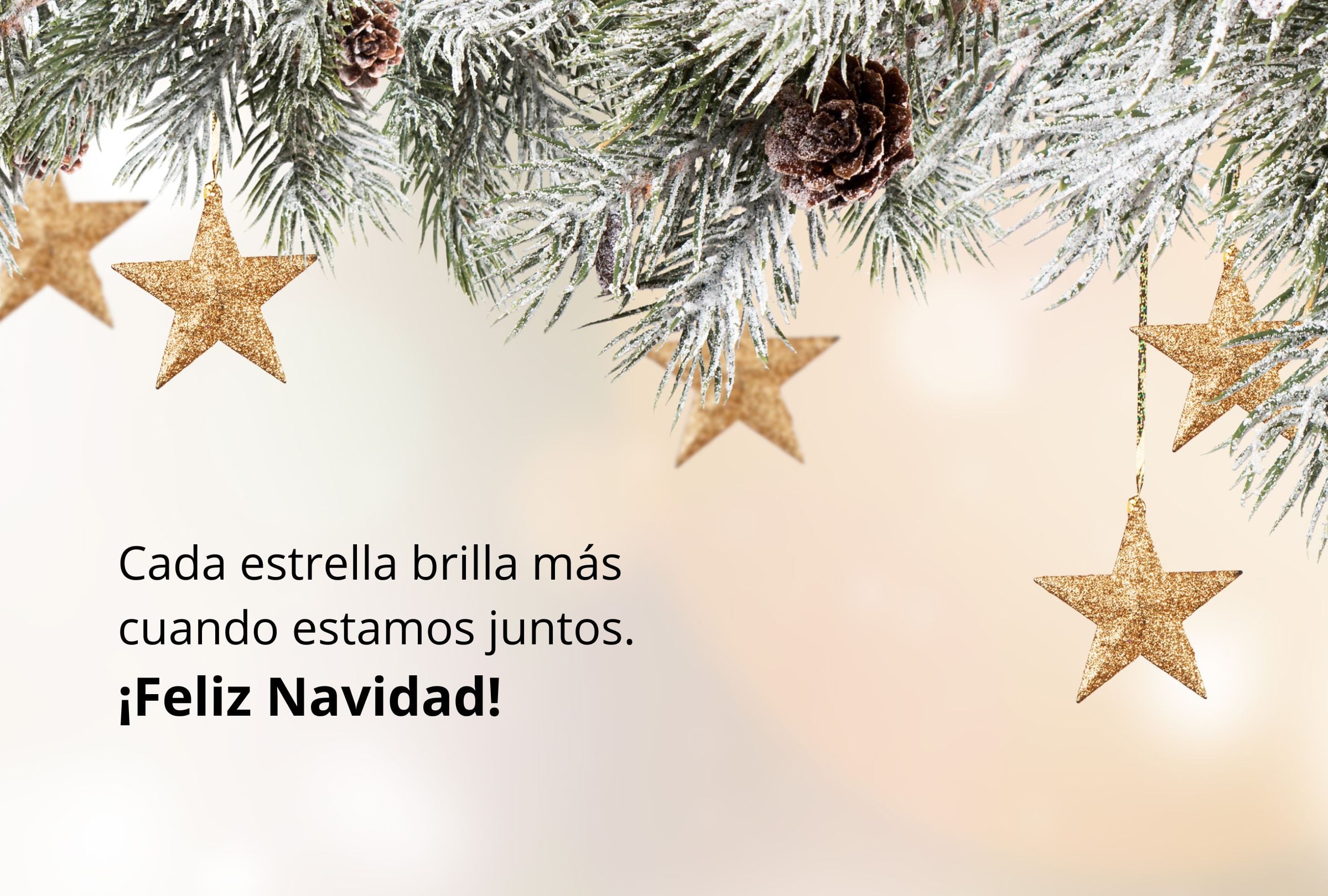 Cada estrella brilla más cuando estamos juntos. ¡Feliz Navidad! (Foto: Composición Gestión Mix)