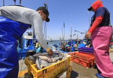 Produce otorga habilitaciones sanitarias a armadores de embarcaciones artesanales