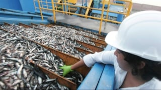 SNP: Régimen de pesca de anchoveta en el sur ayudará a destrabar el sector