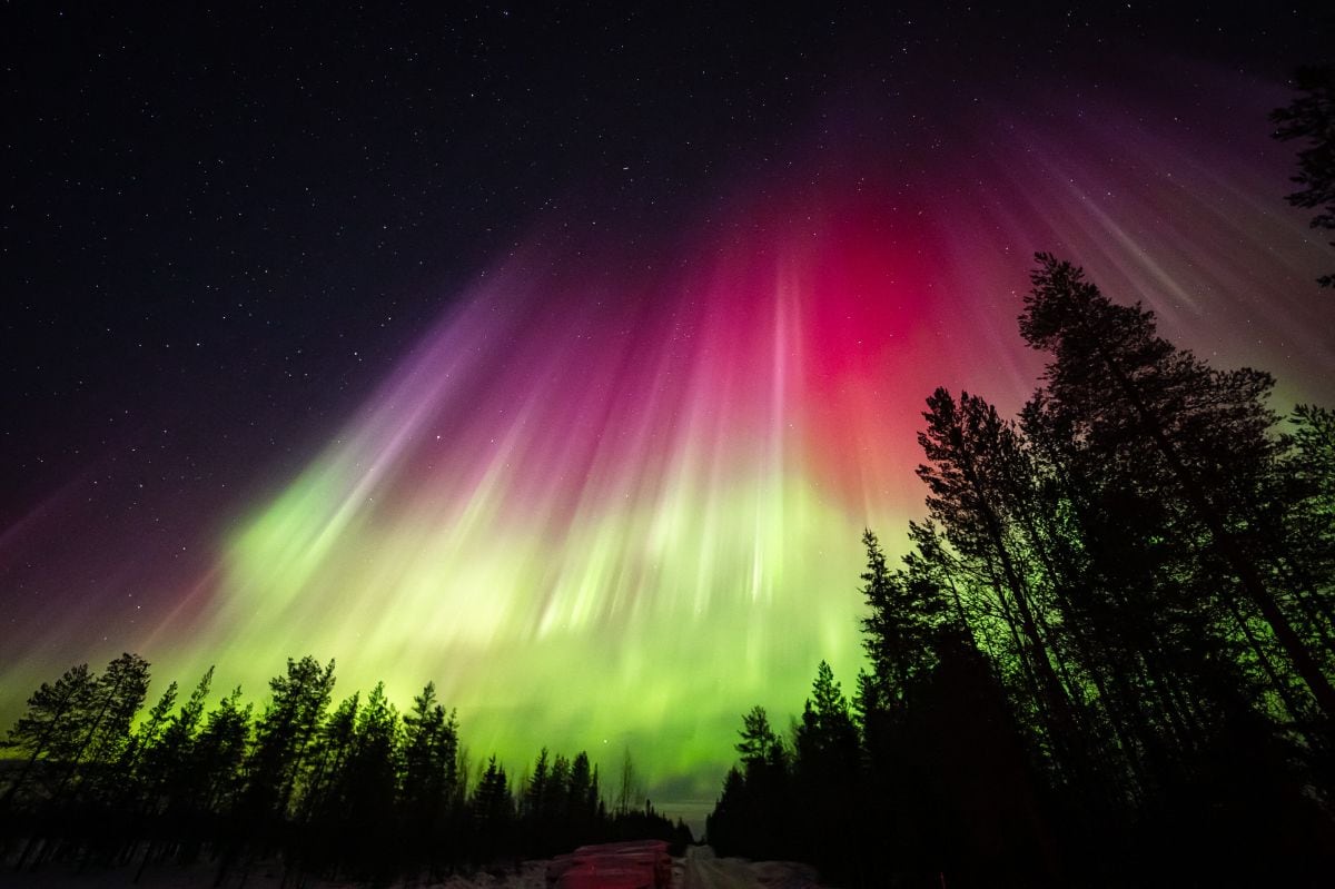 La aurora boreal apareció justo después del amanecer y continuó durante toda la noche alrededor del Círculo Polar Ártico cerca de Rovaniemi, Finlandia (Foto: Alexander Kuznetsov / All About Lapland / AFP)