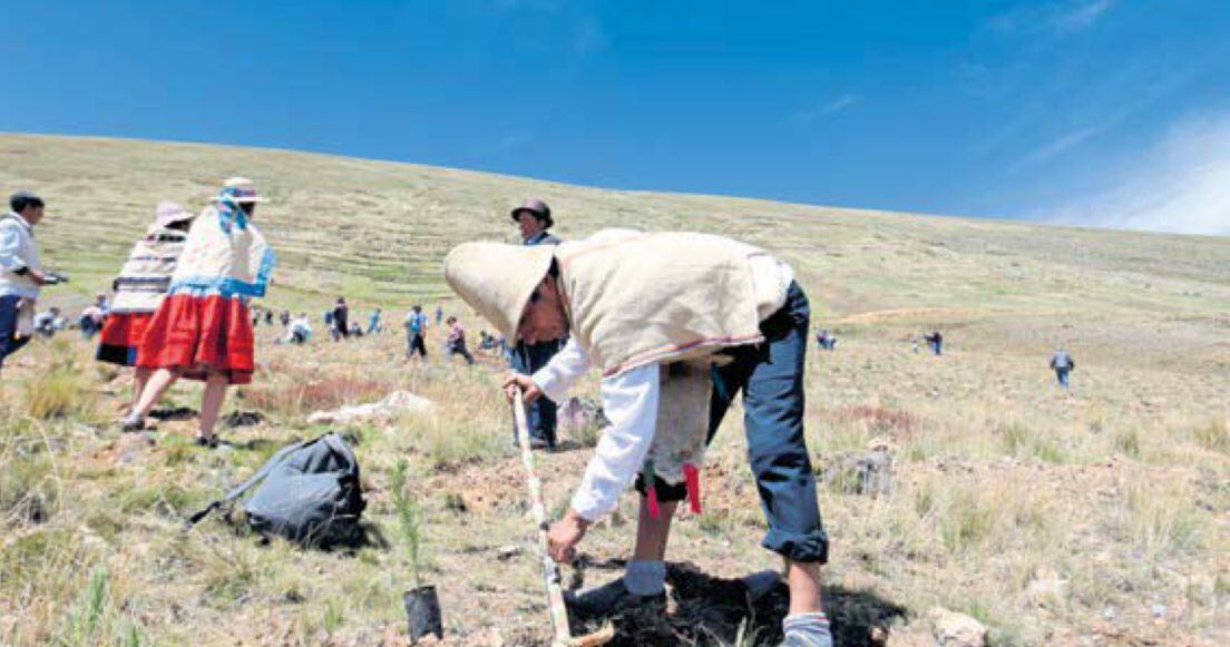se vieron afectadas 23,104.67 hectáreas de terrenos de cultivo. (Foto: GEC)