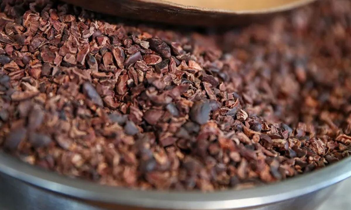 "El precio del cacao ha subido durante los últimos seis meses, gracias sobre todo al colapso de la producción en África occidental". (Foto: EFE/ José Jácome)