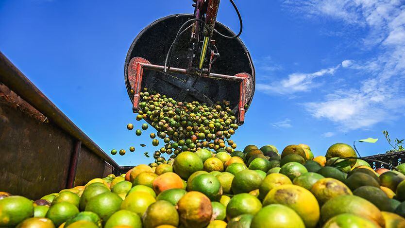 En Nueva York, los contratos de “jugo de naranja”, para suministros futuros de jugo de naranja concentrado y congelado, se están cotizando en US$ 3.07 la libra, un 50% más que en enero del año pasado. (Foto: Getty)