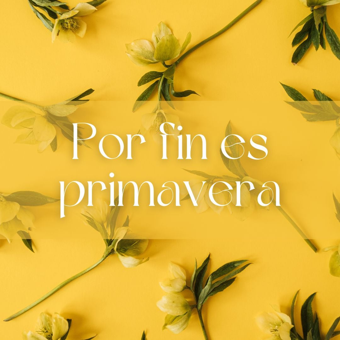 Este sábado 21 de marzo inicia la primavera en México y Estados Unidos, una fecha donde muchas personas regalarán flores amarillas a sus parejas (Foto: Canva.com)