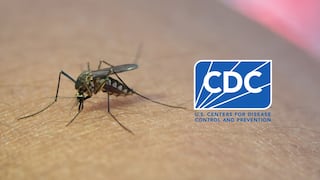 EE.UU. lanza alerta de viaje por chikungunya: estos son los países donde debes extremar precauciones