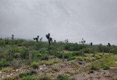 Crece cautela en México por dudas de Musk sobre planta de Tesla