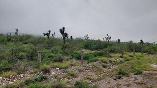 Crece cautela en México por dudas de Musk sobre planta de Tesla