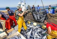Produce evalúa ampliar la cuota de pesca de jurel y caballa