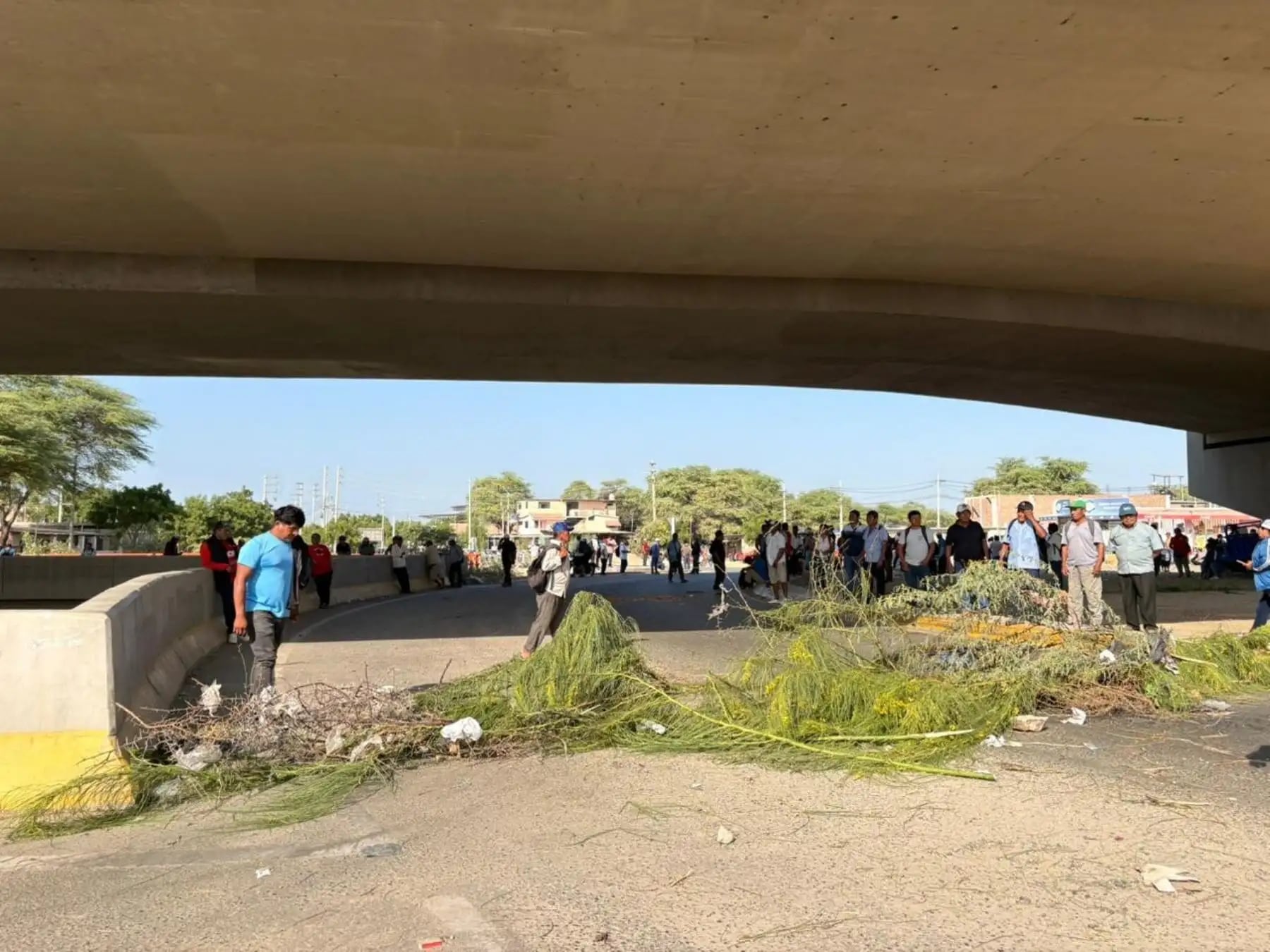 Bloqueo de carreteras en Piura afectó al transporte de personas y carga. Tregua durará 10 días. Foto: Andina