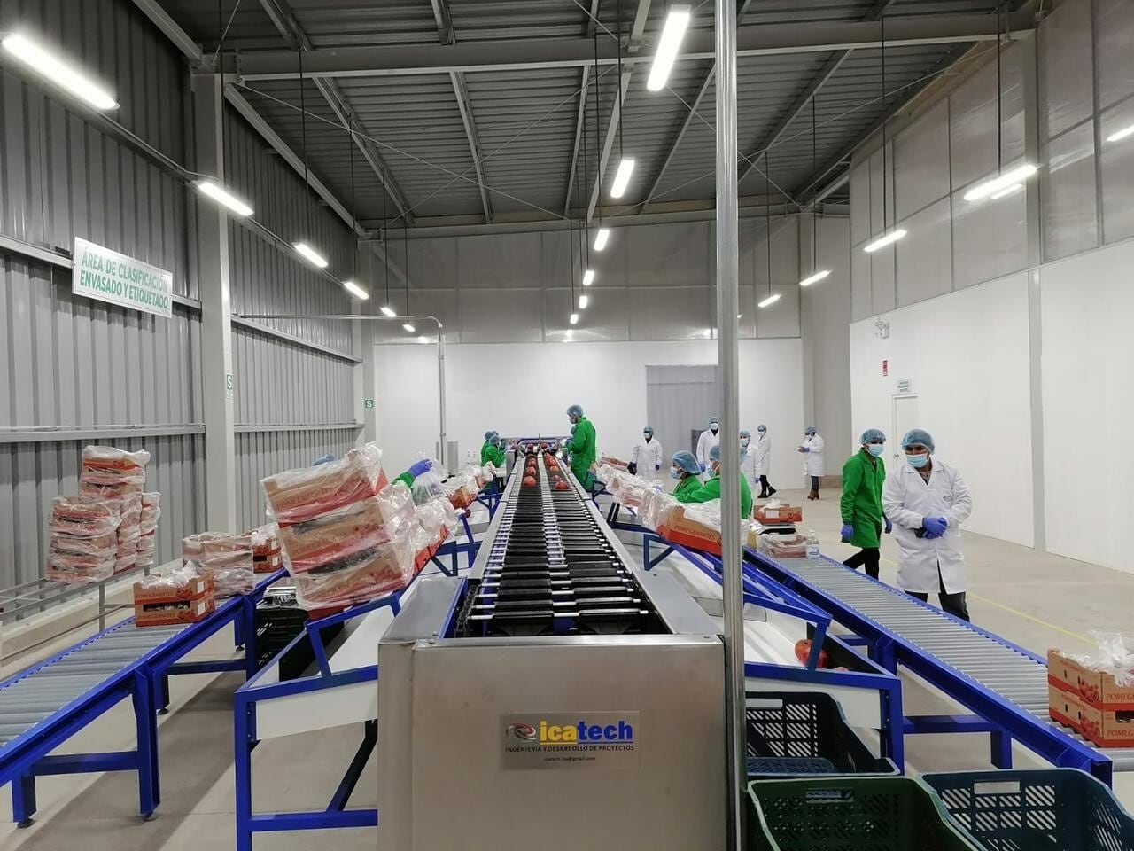 Alimentos procesados y bebidas concentran el 46% de la demanda de empaques en Perú, seguidos por la agroexportación con 22%.