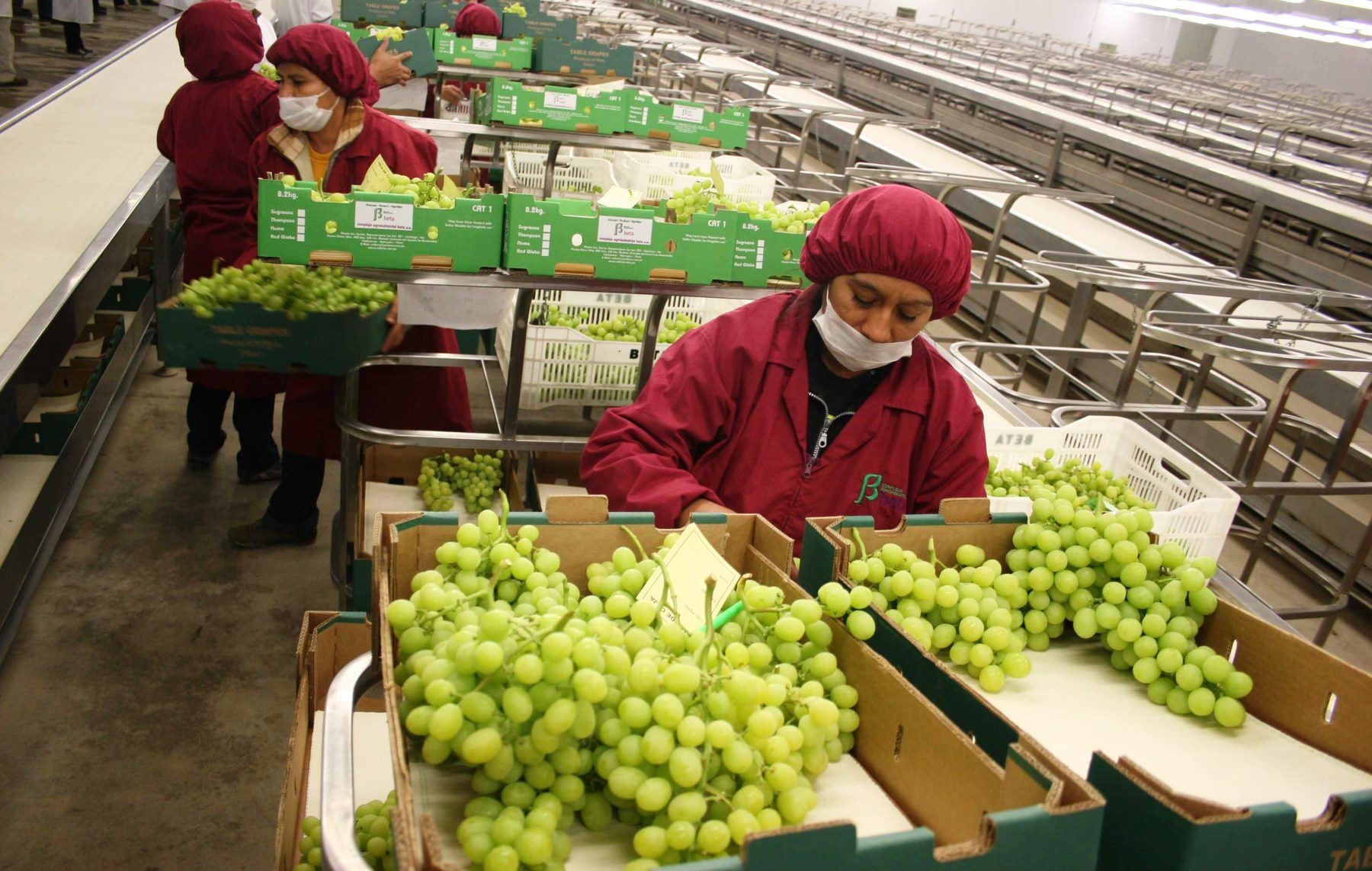 La macrorregión norte muestra el mayor avance en lo que va del año, principalmente gracias al dinamismo agroexportador. (Foto: Andina)