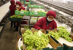 Perú prevé superar a Chile en agroexportación: ¿cuánto dinero moverá?