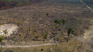 La deforestación de la Amazonía brasileña bate récord en el primer semestre
