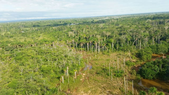 Perú tiene el compromiso de restaurar 3.2 millones de hectáreas degradadas