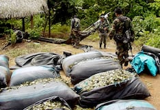 Cocaína y PBI en Perú: el circuito de 10 pasos que “contamina” a estos sectores clave