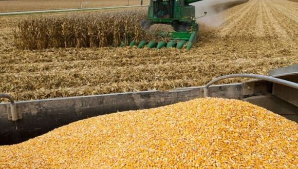 Argentina es el séptimo exportador mundial de cebada, cereal del que Ucrania también es uno de los mayores exportadores globales.  (Foto: Difusión)
