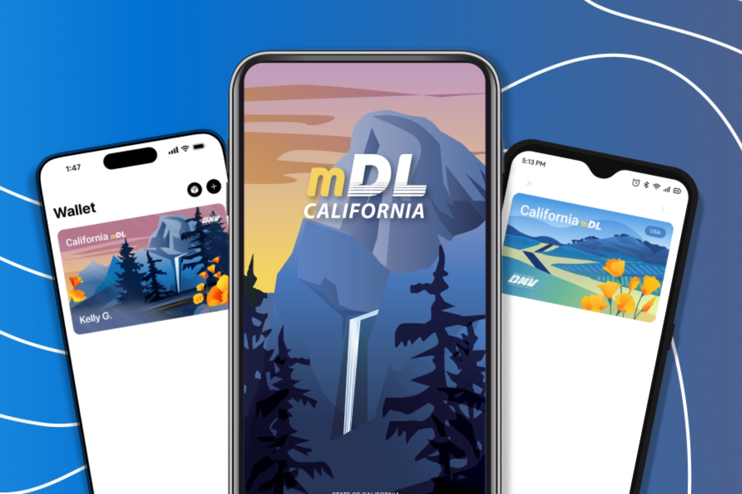 Antes de salir solo con el celular, revisa si el lugar al que vas acepta la licencia móvil; de lo contrario, podrías necesitar la tarjeta física (Foto: DMV)