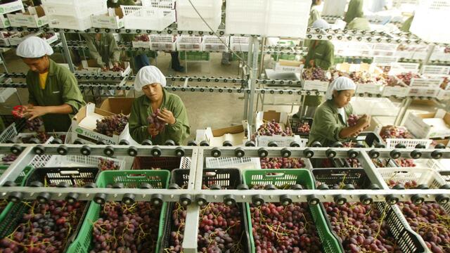 Exportaciones de uva iniciaron campaña creciendo 116%
