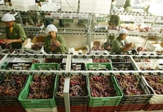 Exejecutivo de Virú a la cabeza de operación local de Decofrut de Chile