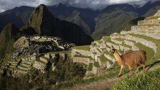 El Camino del Inca, un tesoro turístico transnacional y de difícil desarrollo
