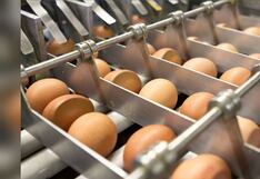 Ovosur busca ingresar a nuevos mercados en América del Norte