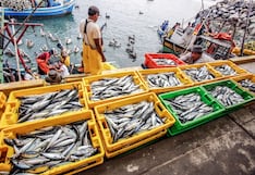 Produce reporta más de 1,300 habilitaciones sanitarias para pesca y acuicultura en seis meses