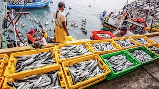 Produce reporta más de 1,300 habilitaciones sanitarias para pesca y acuicultura en seis meses