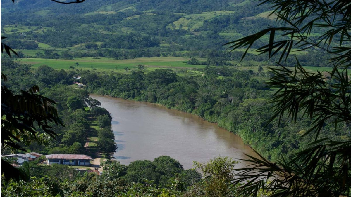 Bosques de Perú para generar negocios: se invirtieron S/ 92 millones en 18 departamentos