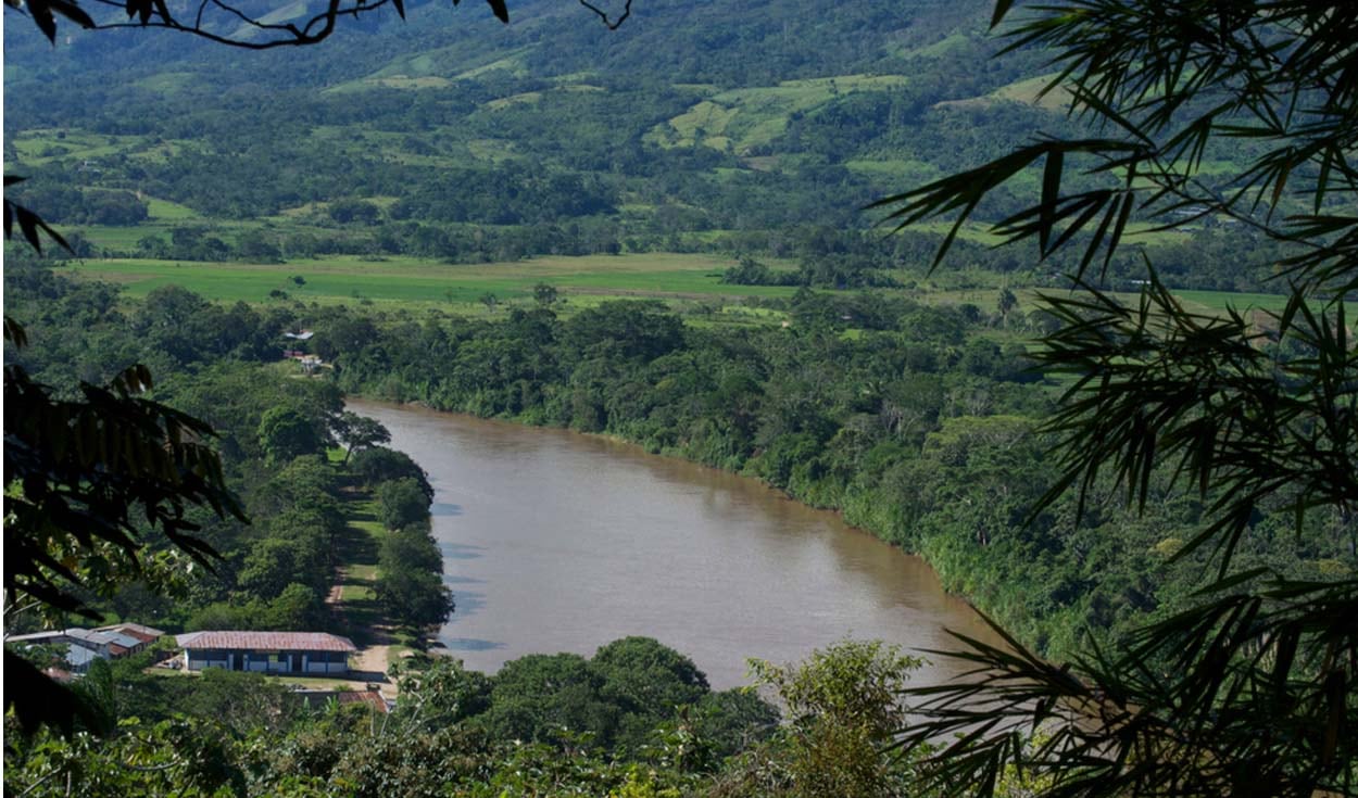 Alto Mayo abarca las regiones de Amazonas, Loreto y San Martín y se extiende a lo largo de 182,000 hectáreas. (Foto: Shutterstock)