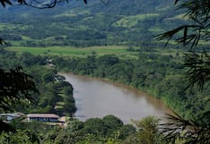 Bosques de Perú para generar negocios: se invirtieron S/ 92 millones en 18 departamentos