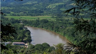 Bosques de Perú para generar negocios: se invirtieron S/ 92 millones en 18 departamentos