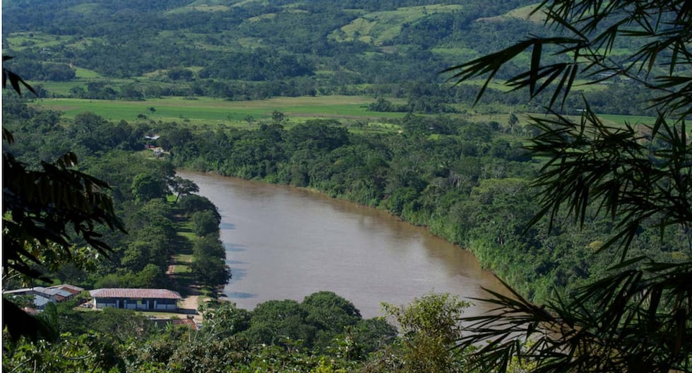 Perú posiciona su bosque como eje de inversiones sostenibles