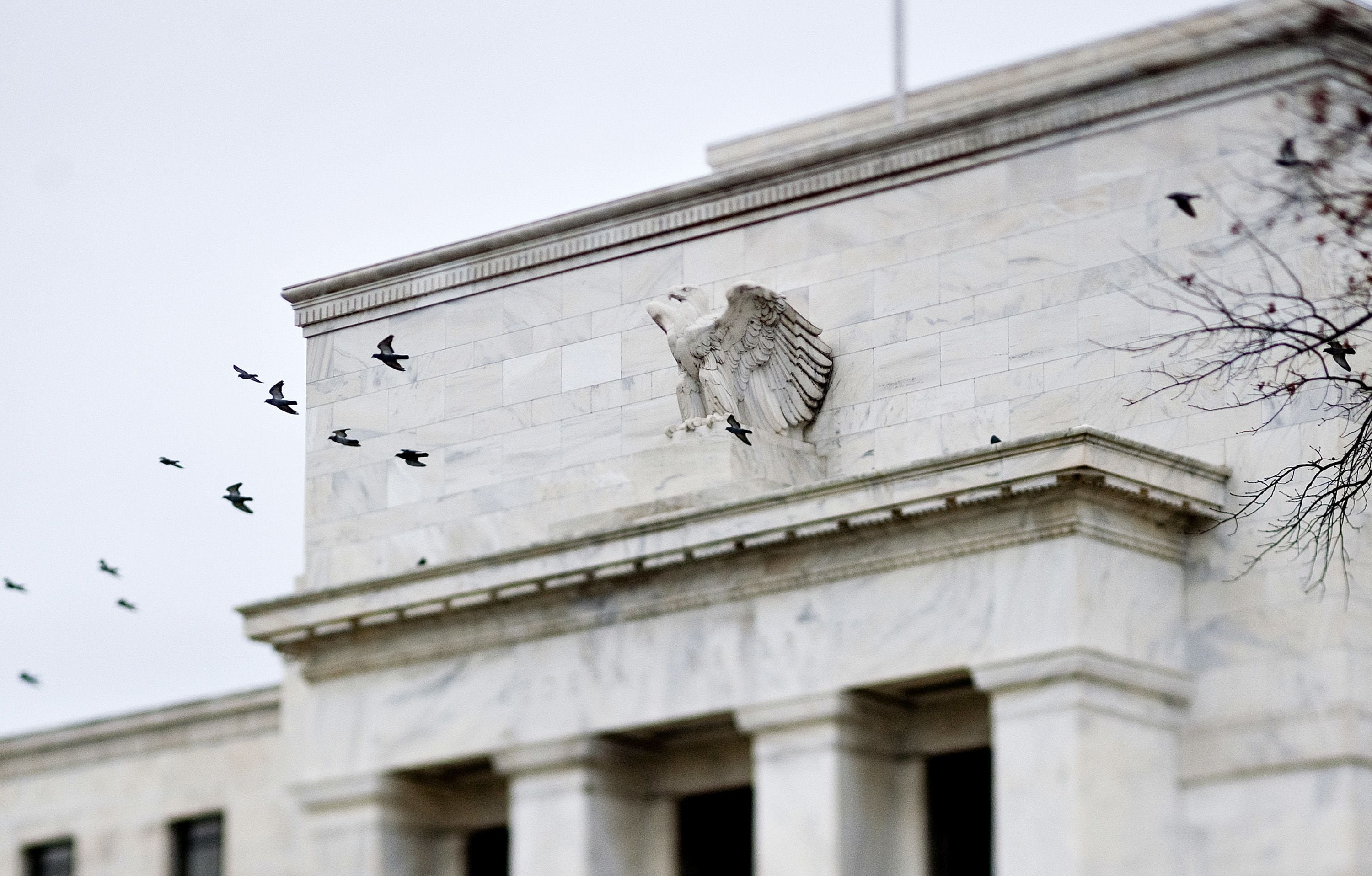 Birds fly past the Marriner S. Eccles Federal Reserve Board building in Washington, D.C.