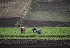 Los países de la UE respaldan suspender otro año los aranceles a los productos ucranianos