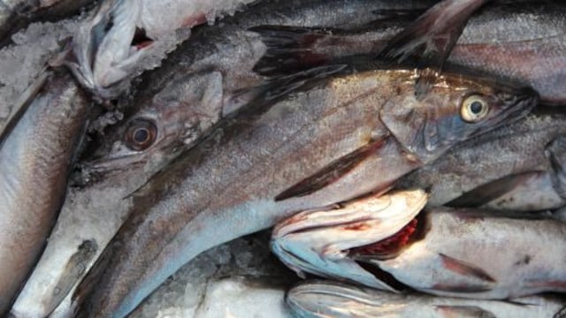 Inspectores del Produce decomisan 2.9 toneladas de merluza capturada ilegalmente