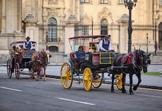 Poder Judicial exige eliminar el uso de carruajes con caballos en Lima