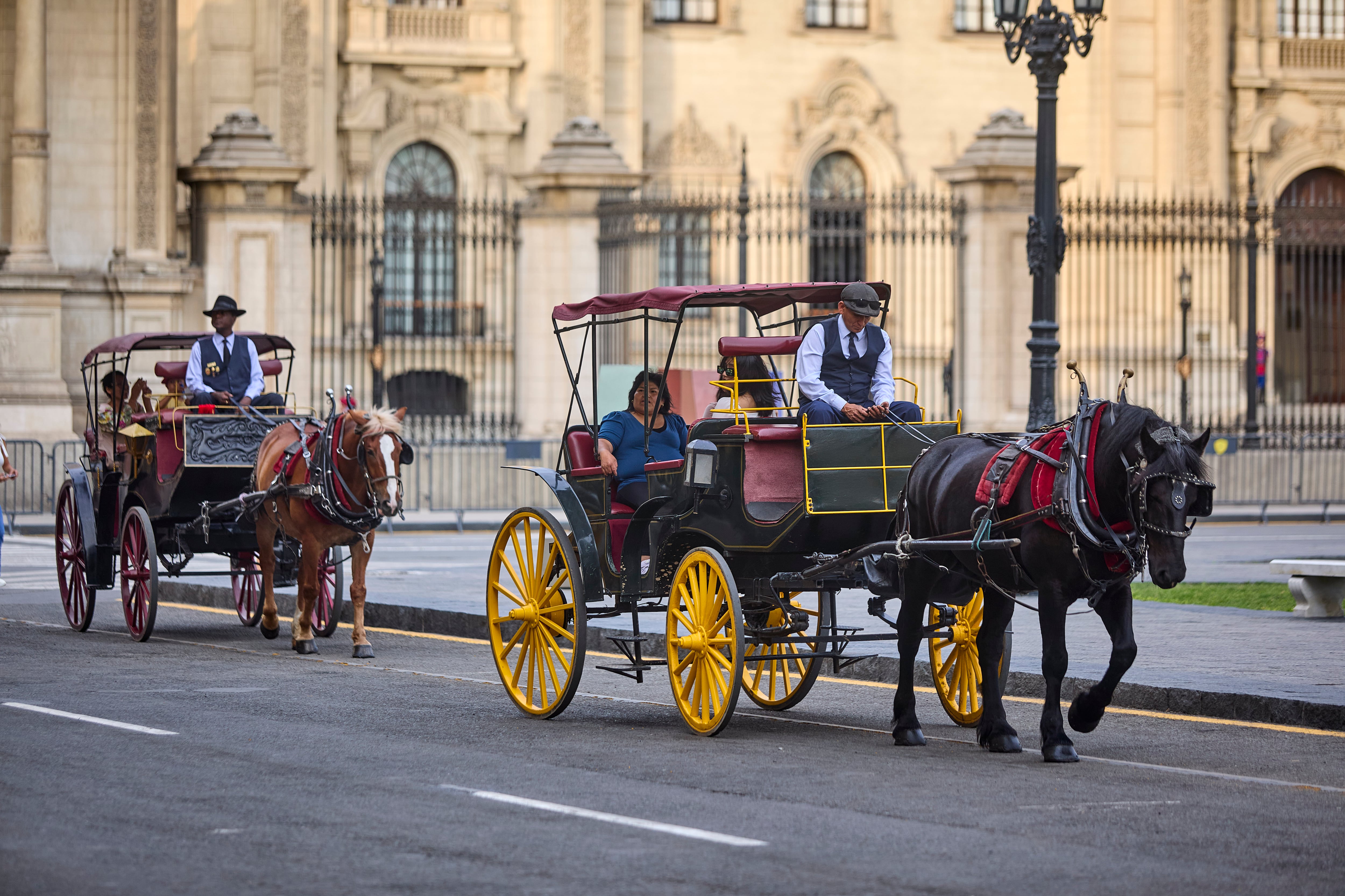 La jueza rechazó el argumento municipal de que la actividad no implica maltrato y cuestionó la limitada fiscalización sanitaria realizada. Foto: MML / difusión
