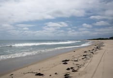 Alerta en San Diego: estas playas enfrentan cierres prolongados por contaminación tóxica