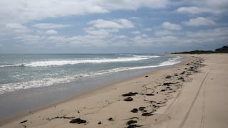 Alerta en San Diego: estas playas enfrentan cierres prolongados por contaminación tóxica