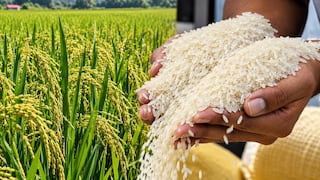 Arroz peruano conquistó nuevo mercado: Midagri destaca primer arribo a Estados Unidos