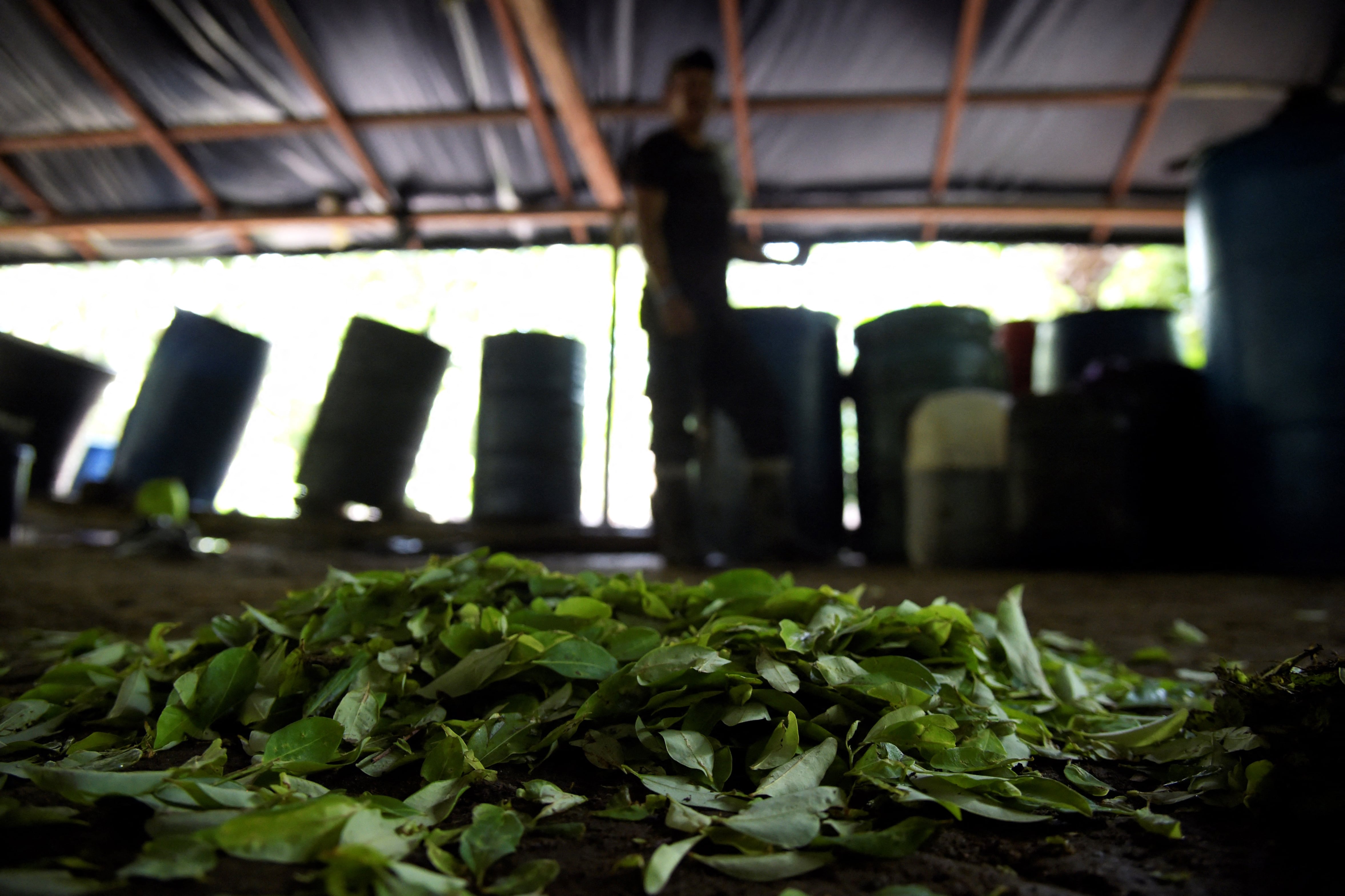 “Intentan convertir nuestro país ya no en un país de tránsito de drogas, sino en un país productor de droga”, señaló el ministro boliviano, Eduardo Del Castillo. (Foto por Schneyder Mendoza / AFP)