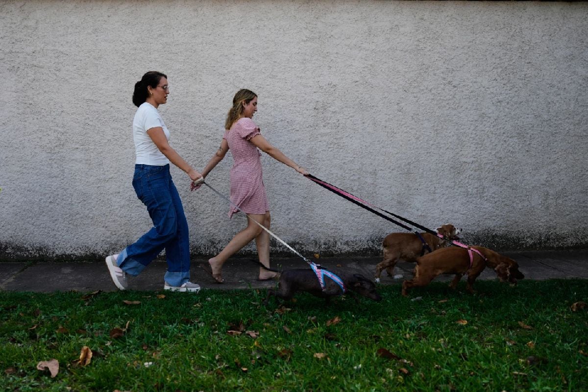 Las recién casadas Scarlett Rocha, a la derecha, y Fabiana Justiniano pasean a sus perros en Santa Cruz, Bolivia, el sábado 15 de agosto de 2026. (Foto: AP/Juan Karita)