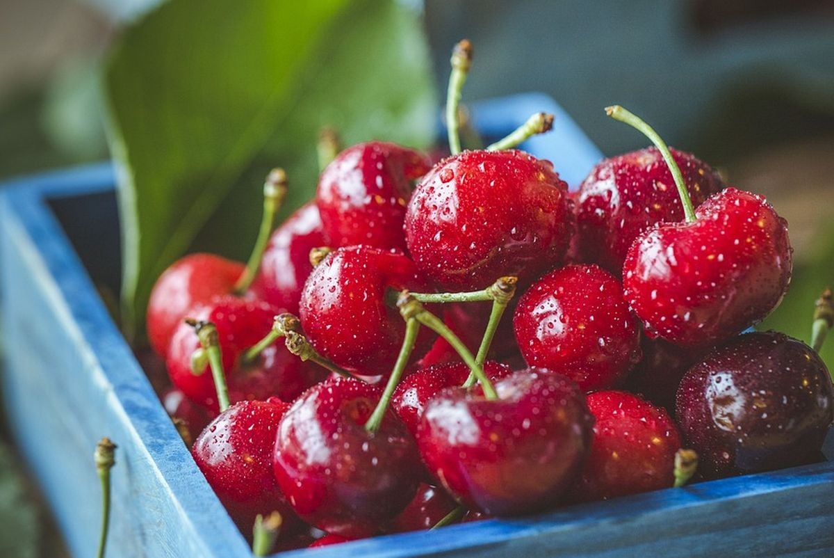 Puerto de Zhuhai en China busca recibir futura carga de cerezas peruanas. (Foto: candoyi / Pixabay).