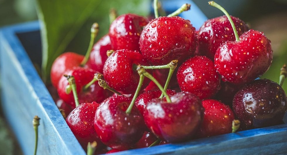 Perú busca posicionarse en mercado chino de cerezas
